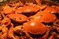 hardshell crab pot