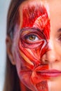 Cosmetology concept. Young woman with half of face with muscles structure under skin. Model for medical training on a