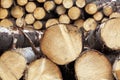 hardwood logging for industrial processing and production