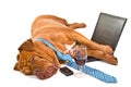 Hardworker Fell Asleep Royalty Free Stock Photo