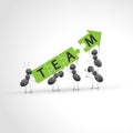 Hardworking ants working as a team. New design. Royalty Free Stock Photo