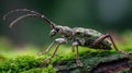 A Hardworking Leafcutter Ant Holding a Green Leaf Generative AI.jpeg Royalty Free Stock Photo