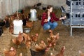 Hardworking young girl collects eggs in a chicken coop