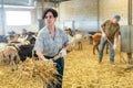 Hardworking young woman farmer making straw and hay preparations on goat farm Royalty Free Stock Photo