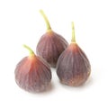 Hardy Chicago figs