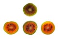 Hardy Kiwifruit