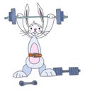 Hare athlete with a barbell in his hands character Royalty Free Stock Photo