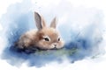 Animals cute domestic pet easter grass background mammal fluffy bunny rabbit nature small fur Royalty Free Stock Photo