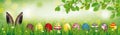 Hare Colored Easter Eggs Grass Beech Twigs Header Royalty Free Stock Photo