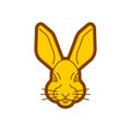 Hare face isolated. rabbit muzzle Vector illustration