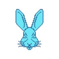 Hare face Pixel art. 8 bitrabbit muzzle pixelated