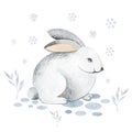 Hare hare on the snow with snowflakes. Royalty Free Stock Photo