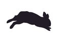 Hare jumping, silhouette, vector,