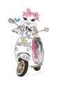 Hare kid girl with a pink bow riding the scooter. Royalty Free Stock Photo