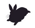 Hare lies, silhouette, vector