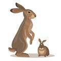 Hare with little leveret. Royalty Free Stock Photo