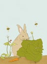 Hare In My Salad Funny Illustration