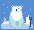 Wildlife Arctic Animals, Bear and Penguin, Rabbit Royalty Free Stock Photo