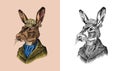 Hare or rabbit. Antique gentleman in a cap and coat. Victorian Ancient Retro Clothing. A man in a suit. Hand drawn old