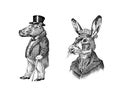 Hare or rabbit and hippopotamus. Antique gentleman in a cap and coat. Victorian Ancient Retro Clothing. A man in a suit