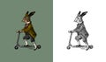 Hare or rabbit rides a scooter. Antique gentleman in a cap and coat. Victorian Ancient Retro Clothing. A man in a suit