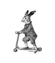 Hare or rabbit rides a scooter. Antique gentleman in a cap and coat. Victorian Ancient Retro Clothing. A man in a suit
