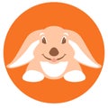 Hare rabbit vector illustration flat style front side Royalty Free Stock Photo