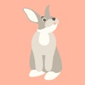 Hare rabbit vector illustration flat style front side Royalty Free Stock Photo