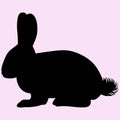 Hare rabbit vector silhouette Royalty Free Stock Photo