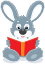 Hare reading a book