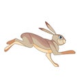 Hare running. Rabbit wild northern forest animal. Cartoon character of a small mammal animal. A wild forest creature