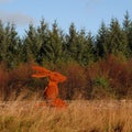 Hare Sculpture in Gisburn forest.