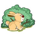 Hare sitting near the bush, hiding, cartoon illustration, isolated object on a white background, vector illustration