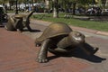 The Hare and the Tortoise Royalty Free Stock Photo