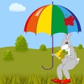 Hare under umbrella