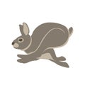 Hare vector illustration style Flat