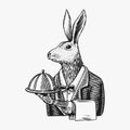 Hare waiter with a dish. Rabbit flunky or garcon. Fashion animal character. Hand drawn sketch. Vector engraved