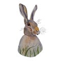 Hare watercolor art design stock vector illustration for web