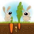 Hares big and small carrots Royalty Free Stock Photo