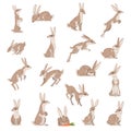 Hares and Jackrabbits as Swift Animal with Long Ears and Grayish Brown Coat Big Vector Set