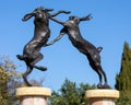 Hares Sculpture at RHS Hyde Hall in Essex, UK