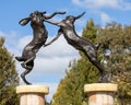 Hares Sculpture at RHS Hyde Hall in Essex, UK