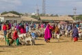 HARGEISA, SOMALILAND - APRIL 15, 2019: View of the cattle market in Hargeisa, capital of Somalila