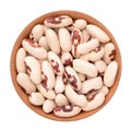 Haricot bean on a white background