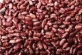 Haricot beans Royalty Free Stock Photo