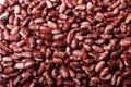 Haricot beans