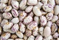 Haricot beans Royalty Free Stock Photo