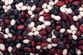 Haricot beans background Royalty Free Stock Photo