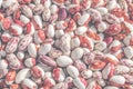 Haricot beans background, many dry kidney beans. Healthy protein nutrition. Copy space Royalty Free Stock Photo