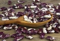 Haricot beans in a wooden spoon on wooden background Royalty Free Stock Photo